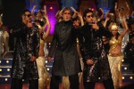 bolbachchan