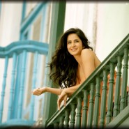 12jul ETT wallpapers10 185x185 Check out the exclusive stills, wallpapers and more from Ek Tha Tiger!