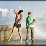 12jul ETT wallpapers23 185x185 Check out the exclusive stills, wallpapers and more from Ek Tha Tiger!