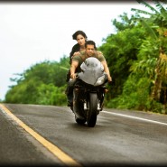 12jul ETT wallpapers26 185x185 Check out the exclusive stills, wallpapers and more from Ek Tha Tiger!
