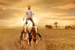 soshorsestunt