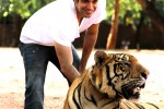 punit