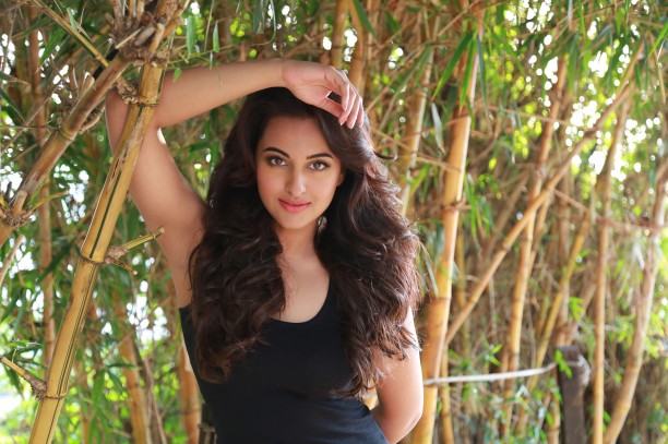 Sonakshi Sinhaactionhero